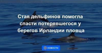 Стая дельфинов помогла спасти потерявшегося у берегов Ирландии пловца - news.mail.ru - Ирландия