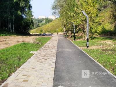 Благоустройство Лопатинского оврага планируется завершить в начале сентября - vgoroden.ru - Благоустройство