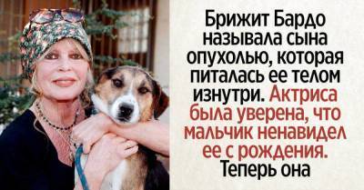 Брижит Бардо - Почему сын Брижит Бардо не позвал ее на свою свадьбу - skuke.net