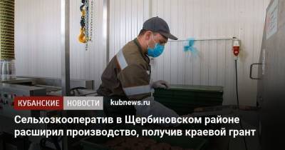 Сельхозкооператив в Щербиновском районе расширил производство, получив краевой грант - kubnews.ru - Краснодарский край