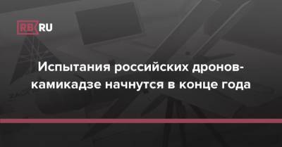 Испытания российских дронов-камикадзе начнутся в конце года - rb.ru - Россия - Сирия