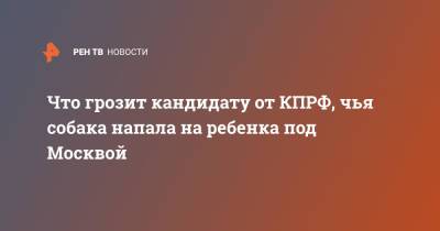 Что грозит кандидату от КПРФ, чья собака напала на ребенка под Москвой - ren.tv - Москва - Россия