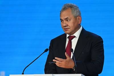 Сергей Шойгу - Шойгу рассказал о промышленном производстве боевых роботов - lenta.ru - Россия