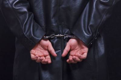 Суд арестовал петербуржца, обвиняемого в сексуальном насилии над пасынком - spb.mk.ru - Санкт-Петербург