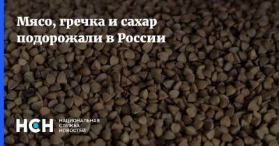Мясо, гречка и сахар подорожали в России - nsn.fm - Россия