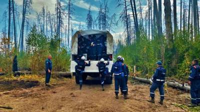 В МЧС рассказали о ситуации с пожаром в заповеднике в Мордовии - russian.rt.com - Россия - Тольятти - республика Мордовия