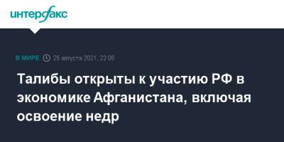 Дмитрий Жирнов - Талибы открыты к участию РФ в экономике Афганистана, включая освоение недр - interfax.ru - Москва - Россия - Афганистан - Талибан
