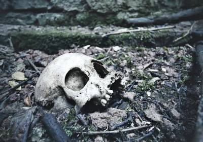 Два скелета нашли лесничие около трассы М-7 в Нижегородской области - newsland.com - Нижегородская обл. - Нижний Новгород