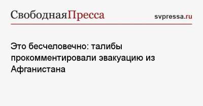 Забиулла Муджахид - Это бесчеловечно: талибы прокомментировали эвакуацию из Афганистана - svpressa.ru - Россия - США - New York - Московская обл. - Афганистан - Кабул