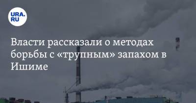Александр Моор - Власти рассказали о методах борьбы с «трупным» запахом в Ишиме - ura.news - Тюменская обл.