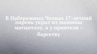 В Набережных Челнах 17-летний парень украл из машины магнитолу, а у приятеля – барсетку - chelny-izvest.ru - Набережные Челны - Пермь