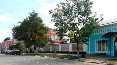 Петербургских художников пригласили расписать стену города в Воронежской области - vestivrn.ru - Санкт-Петербург - Воронежская обл. - Павловск