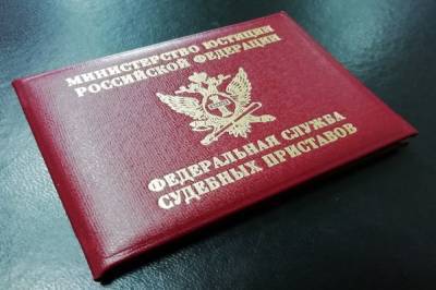 Жительница Хабаровского края получила 10 суток за неуплату алиментов - hab.aif.ru - Россия - Хабаровский край - Еврейская обл.
