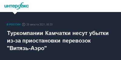 Туркомпании Камчатки несут убытки из-за приостановки перевозок "Витязь-Аэро" - interfax.ru - Москва - Россия - Камчатский край