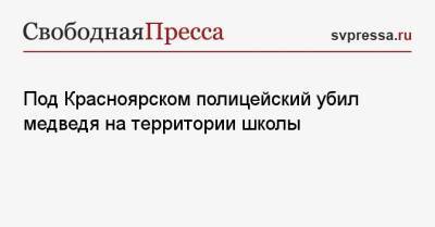 Под Красноярском полицейский убил медведя на территории школы - svpressa.ru - Красноярский край - Красноярск - Испания