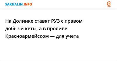 На Долинке ставят РУЗ с правом добычи кеты, а в проливе Красноармейском — для учета - sakhalin.info - Красноармейск