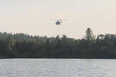 Эвакуированы 56 человек из-за лесного пожара возле Первоуральска - eburg.mk.ru - Россия - Свердловская обл. - Первоуральск