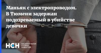 Анастасия Муравьева - Маньяк с электропроводом. В Тюмени задержан подозреваемый в убийстве девочки - nsn.fm - Тюмень