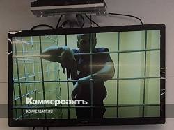 Алексей Навальный - Навальный предложил способ борьбы с бедностью в России - newsland.com - Россия - New York