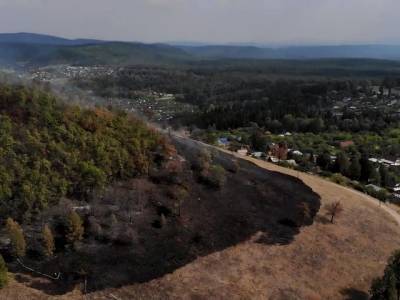 В сети появились видео с места тушения природного пожара в Аше - u24.ru