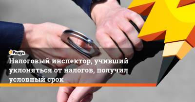 Налоговый инспектор, учивший уклоняться отналогов, получил условный срок - ridus.ru - Забайкальский край - Чита