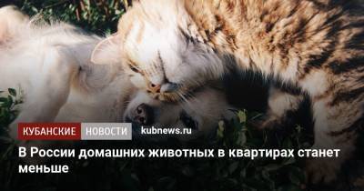 В России домашних животных в квартирах станет меньше - kubnews.ru - Россия