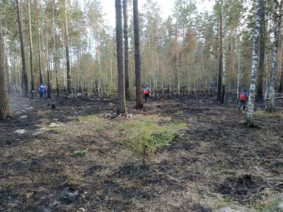 Пожарные ликвидируют тлеющие очаги на площади 16 га в лесах Марий Эл - interfax-russia.ru - респ. Марий Эл - населенный пункт Угрозы - район Медведевский