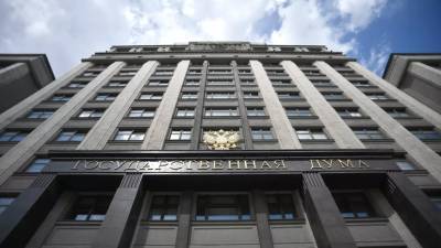 Светлана Бессараб - В Госдуме отреагировали на планы изменить правила начисления выплат на детей - russian.rt.com - Москва