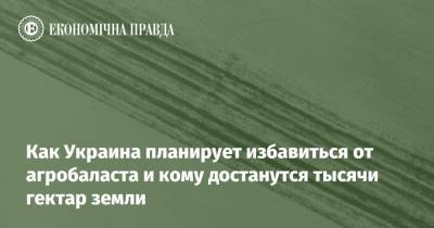 Как Украина планирует избавиться от агробаласта и кому достанутся тысячи гектар земли - epravda.com.ua - Украина