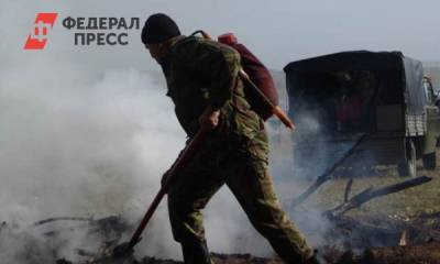 За сутки в Тюменской области возникло восемь новых пожаров - fedpress.ru - Тюмень - Тюменская обл.