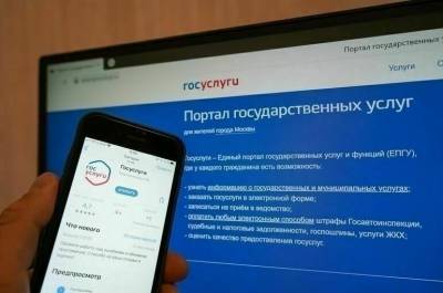 Михаил Котюков - На портале госуслуг заработал сервис по противодействию финансовому мошенничеству - pnp.ru - Россия