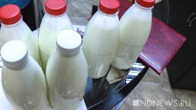 Артем Белов - Производители молока предупредили о резком росте цен - newdaynews.ru