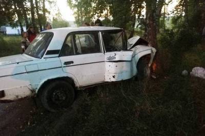 Подростки на автомобиле врезались в дерево под Новосибирском - tayga.info - Новосибирск