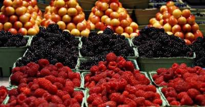 Врач развеяла миф о «запасании витаминов» и призвала не объедаться фруктами - skuke.net - Россия