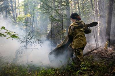 Евгений Ройзман - Свердловская область оказалась на первом месте в России по числу природных пожаров - znak.com - Россия - Екатеринбург - респ. Саха - Свердловская обл.