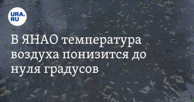 В ЯНАО температура воздуха понизится до нуля градусов - ura.news - окр. Янао