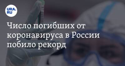 Число погибших от коронавируса в России побило рекорд - ura.news - Москва - Россия - Санкт-Петербург - Московская обл. - Челябинская обл. - Тюменская обл. - Свердловская обл. - Пермский край