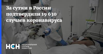 За сутки в России подтвердили 19 630 случаев коронавируса - nsn.fm - Москва - Россия - Санкт-Петербург - Московская обл.