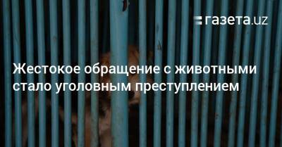 Жестокое обращение с животными стало уголовным преступлением - gazeta.uz - Узбекистан