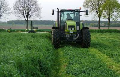 В КВС-УКРАИНА рассказали, как получить качественный ржаной силос - agroportal.ua - Украина - Венгрия
