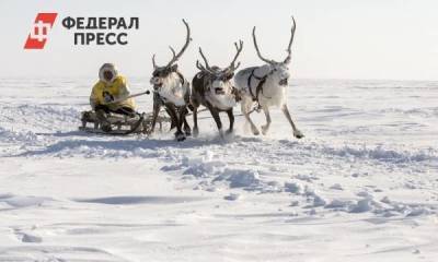 В Красноярском крае трудоустроили тысячи жителей Арктики - smartmoney.one - Красноярский край - Красноярск