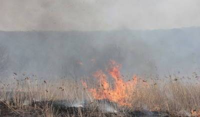 В ЦУР Башкирии дали подробный отчет о ситуации с лесными пожарами в регионе - mkset.ru - Башкирия - район Белорецкий - район Бурзянский