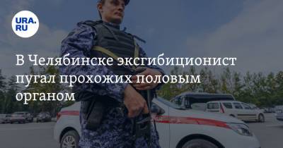 В Челябинске эксгибиционист пугал прохожих половым органом - ura.news - Челябинская обл. - Челябинск