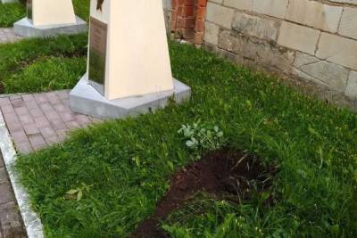 Полицейские поймали вора, укравшего туи из сквера Памяти Героев в Смоленске - mk-smolensk.ru - Россия - Смоленск