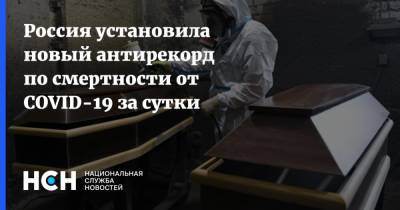 Россия установила новый антирекорд по смертности от COVID-19 за сутки - nsn.fm - Москва - Россия - Санкт-Петербург - Краснодарский край
