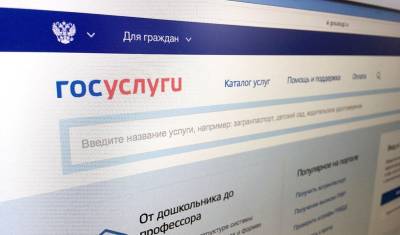 В брендбуке «Госуслуг» нашли требование избегать образов людей неславянской внешности - newizv.ru - Россия