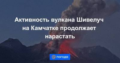 Активность вулкана Шивелуч на Камчатке продолжает нарастать - news.mail.ru - Россия