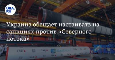 Юрий Витренко - Украина обещает настаивать на санкциях против «Северного потока» - ura.news - США - Украина - Германия