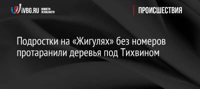 Подростки на «Жигулях» без номеров протаранили деревья под Тихвином - ivbg.ru - Россия - Украина - Ленинградская обл.