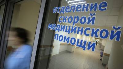 Андрей Чибис - В Мурманске расследуют жестокое избиение 4-летней девочки - dp.ru - Россия - Мурманск - Мурманская обл.
